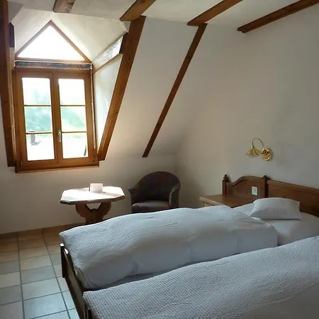 Gasthof Loewen Wisen Room photo
